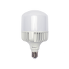 Foco LED para Alumbrado en Interior / Luz Fría / 100 W / 10000 lúmenes / 50000 hrs / Ángulo de Iluminación 240°