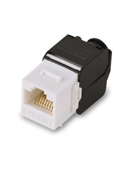 SAXXON M242C6 - Modulo jack keystone RJ45 / Armado sin herramienta / 8 Hilos / CAT 6 / Compatible con calibres AWG 22-26 / Color blanco