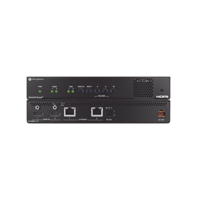 DUAL CHANNEL OMNISTREAM AVOIP ENCODER